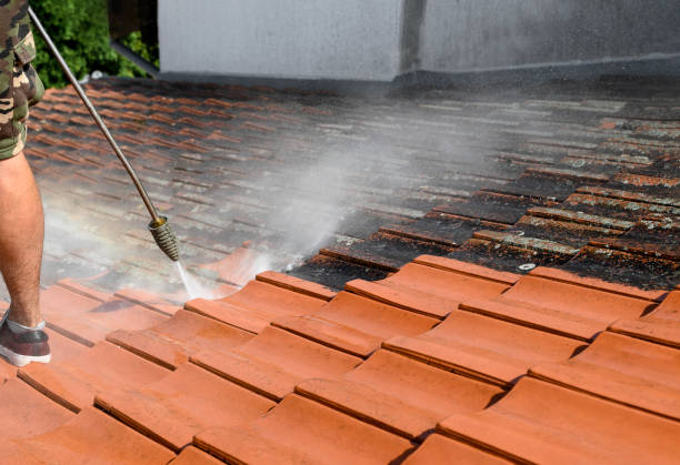 Best Affordable Pressure Washing  in Shields, MI