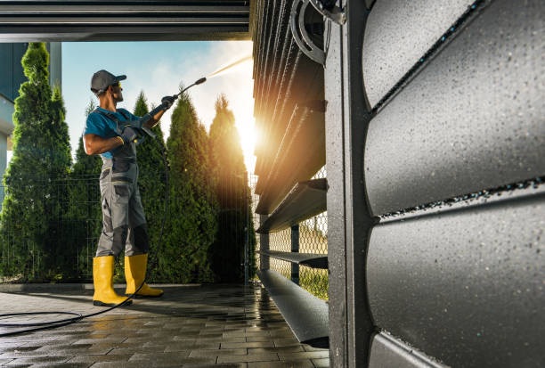 Best Deck Cleaning Services  in Shields, MI