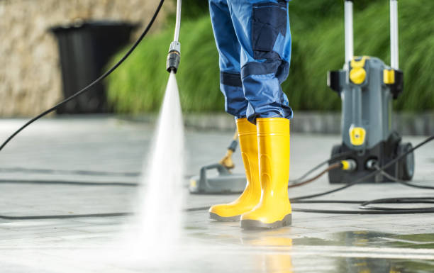 Best Power Washing Near Me  in Shields, MI
